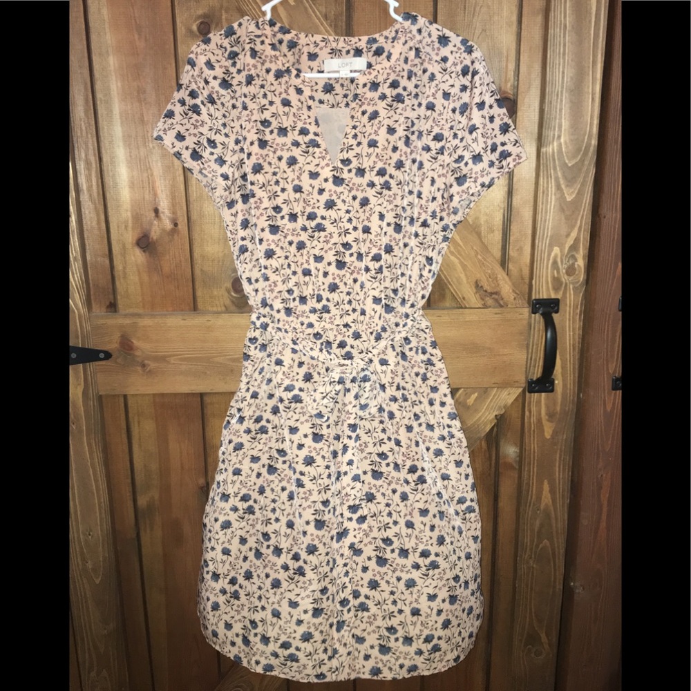 Ann Taylor LOFT dress